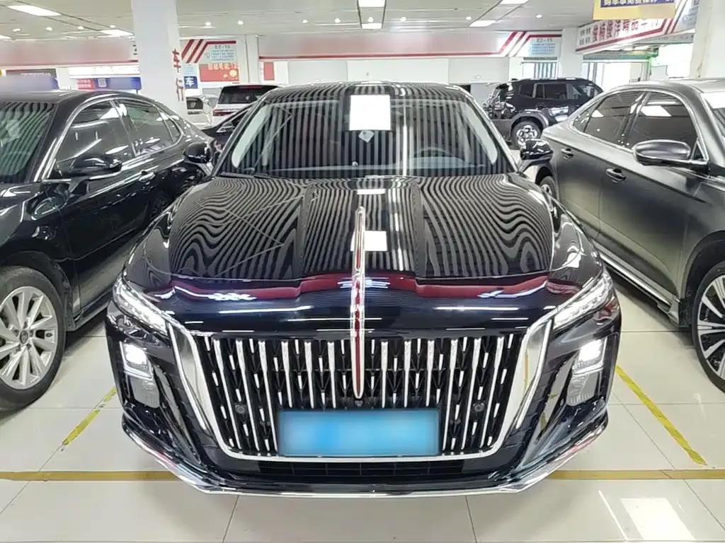 Hongqi H5 — фото 10