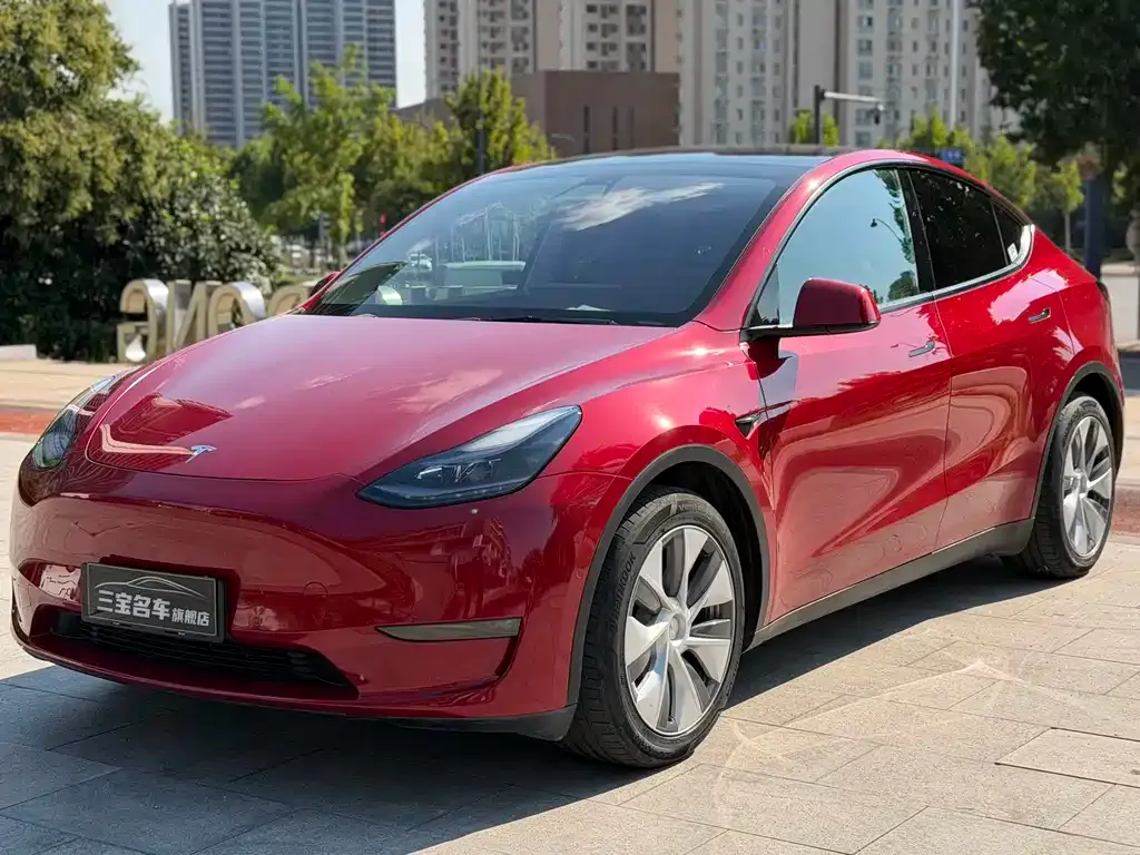 Tesla Model Y — фото 1