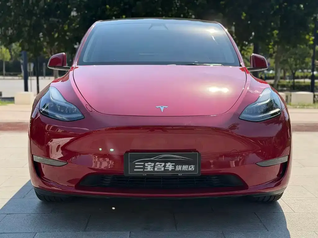 Tesla Model Y — фото 8