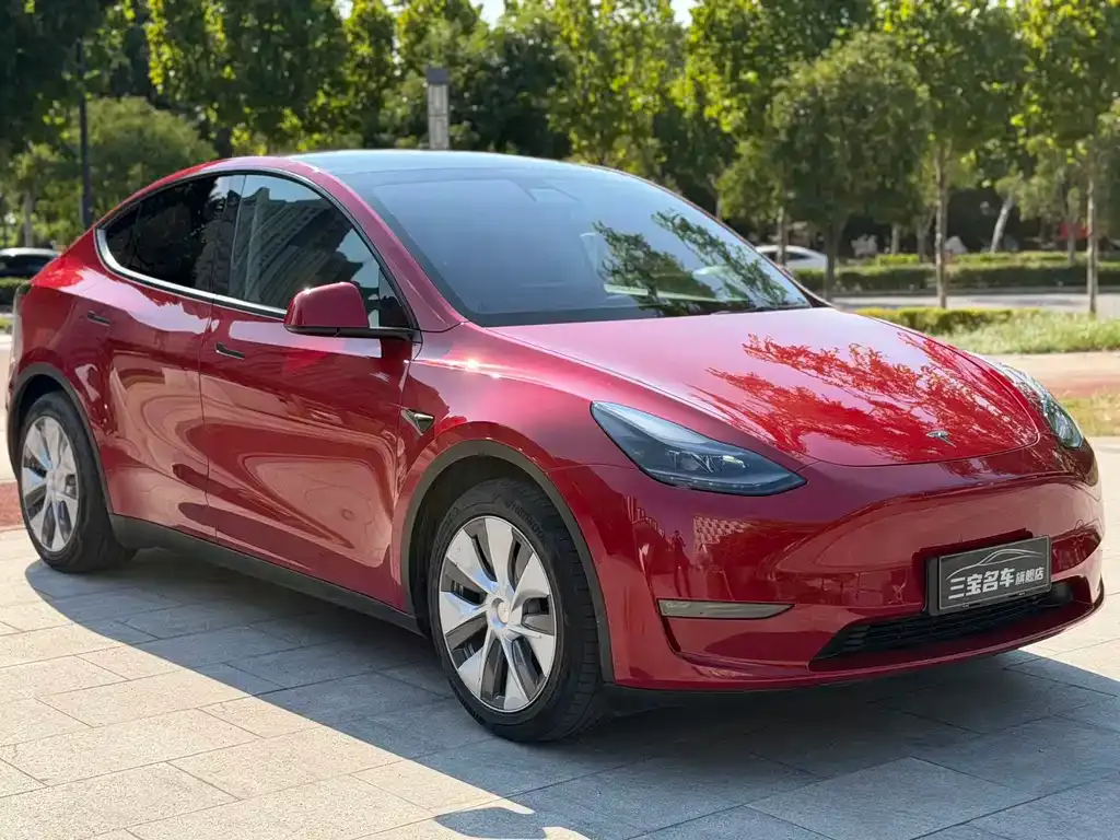 Tesla Model Y — фото 7
