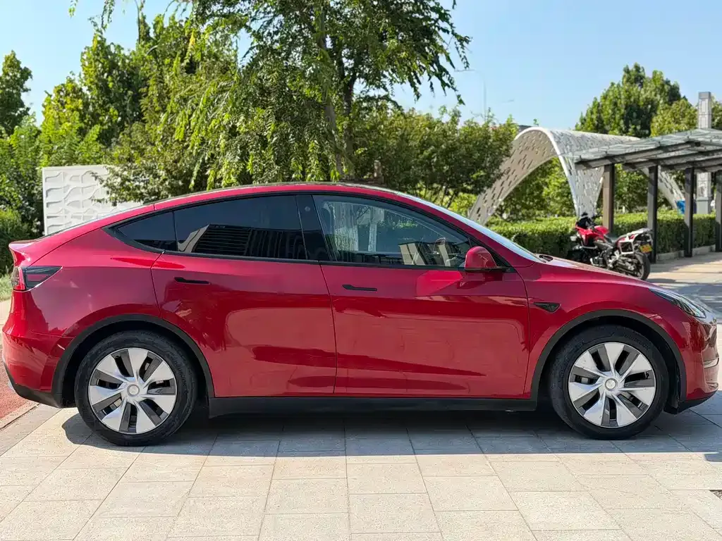 Tesla Model Y — фото 10