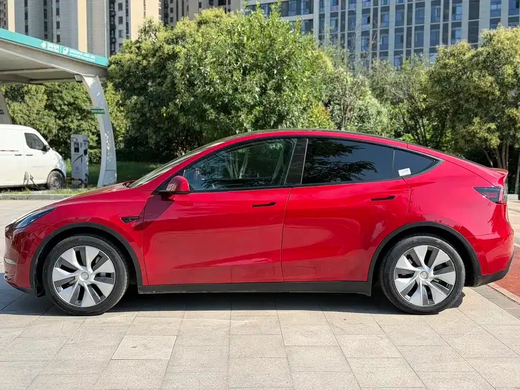 Tesla Model Y — фото 9