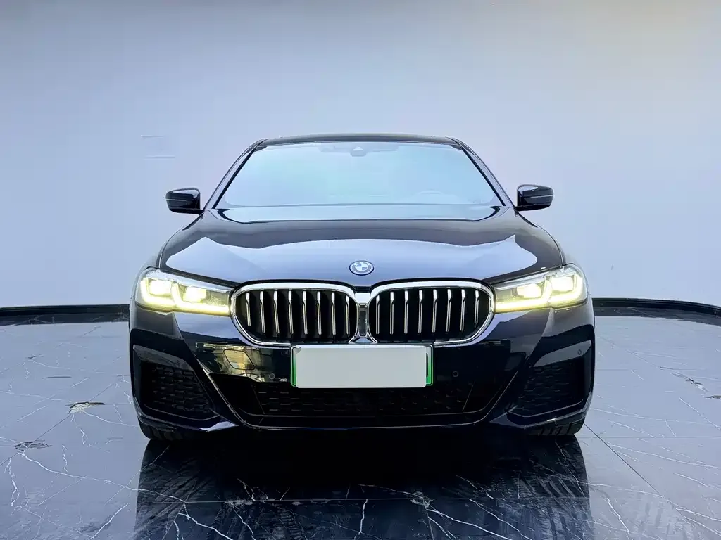 BMW 5 Series New Energy — фото 3