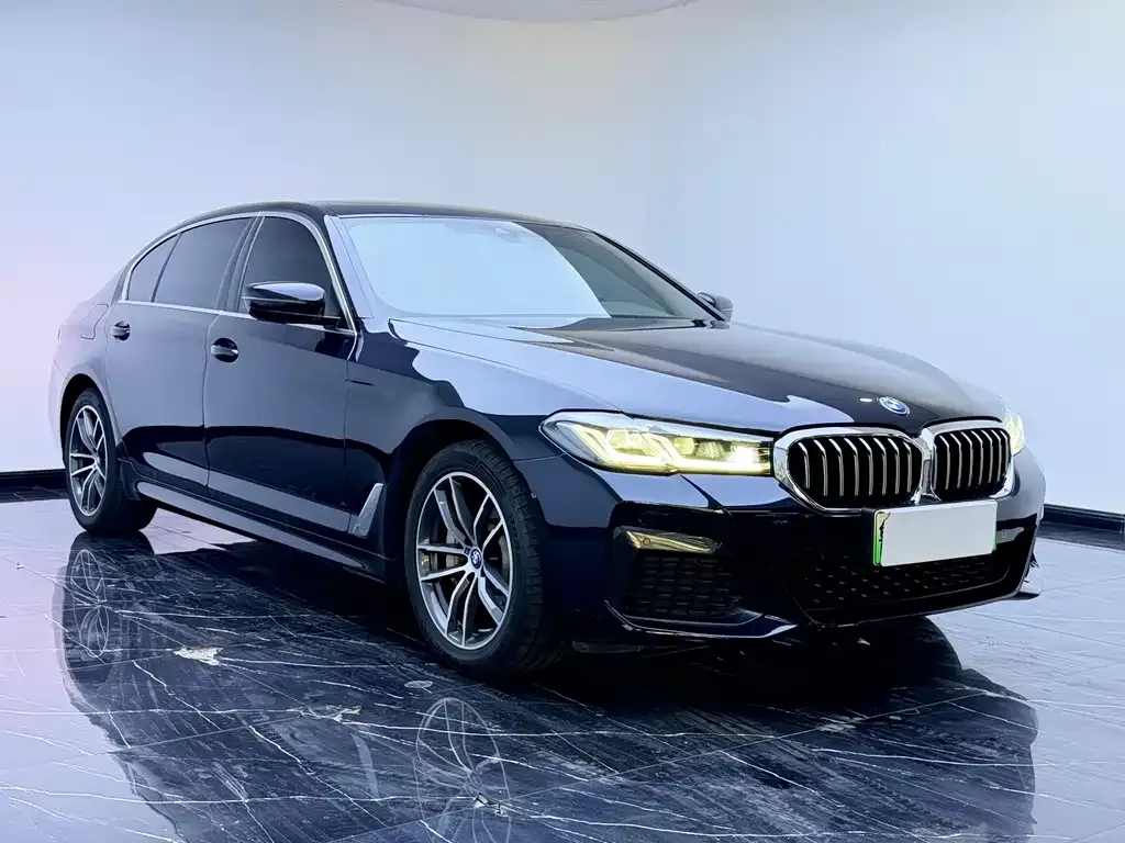 BMW 5 Series New Energy — фото 6
