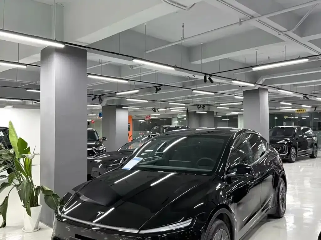 Tesla Model Y L — фото 1