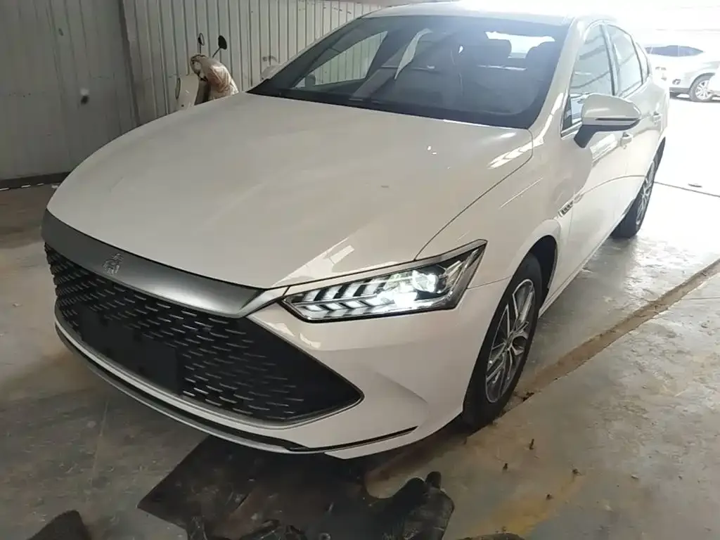 BYD Qin PLUS — фото 1