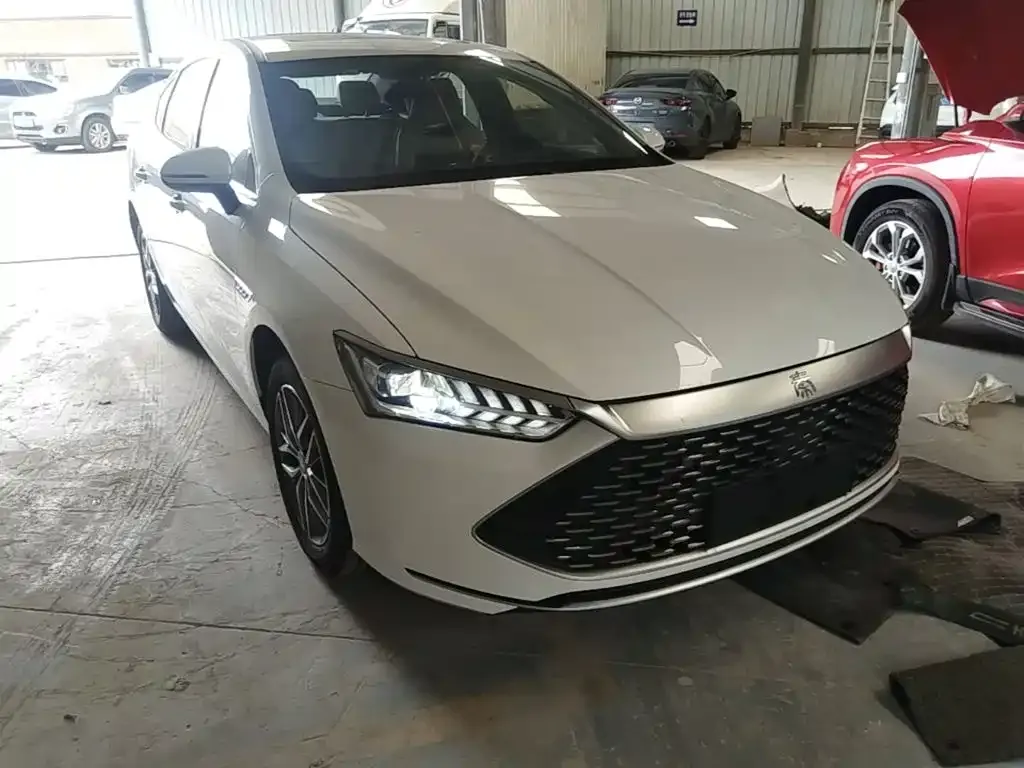 BYD Qin PLUS — фото 10