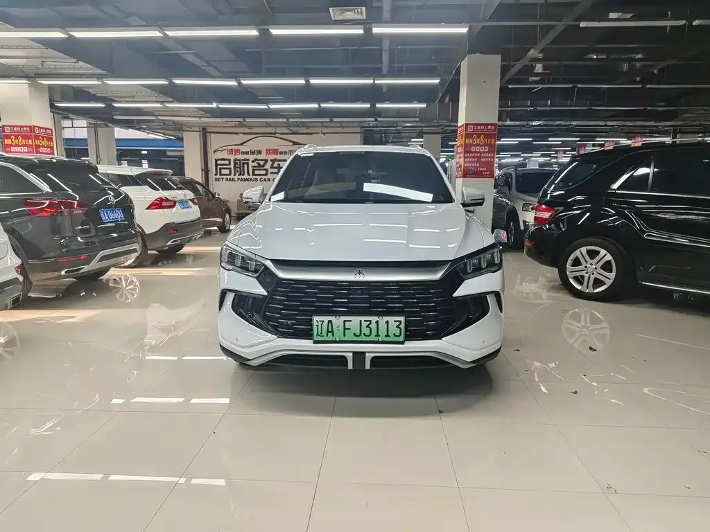 BYD Pro New Energy — фото 1