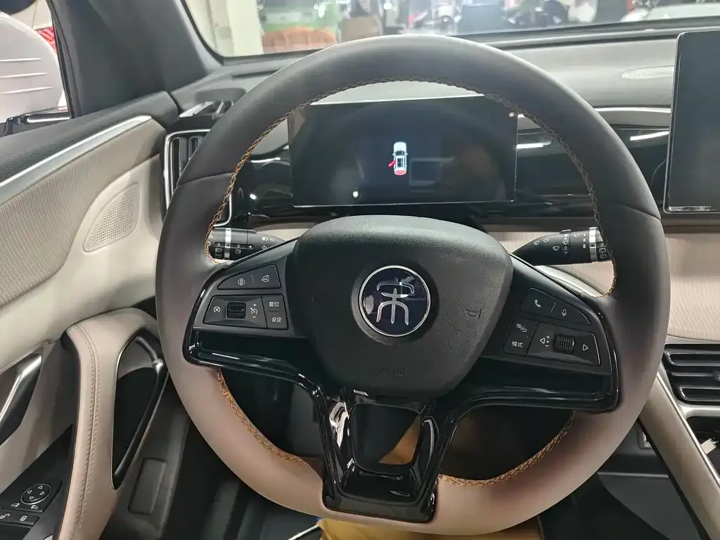 BYD Pro New Energy — фото 5
