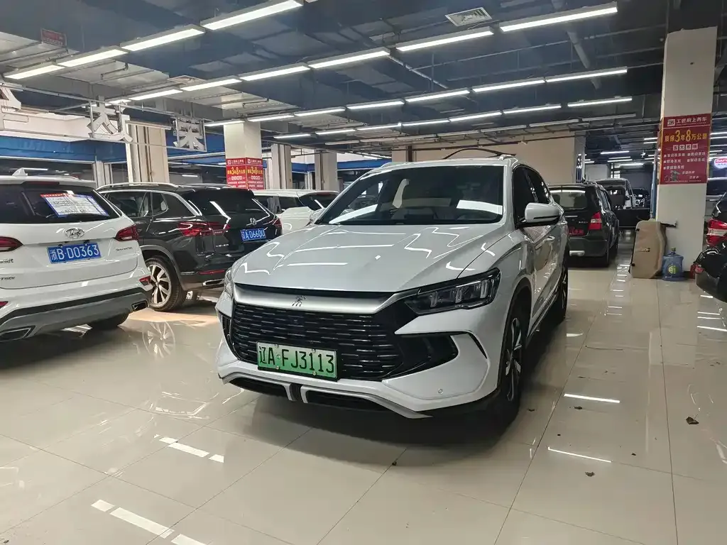 BYD Pro New Energy — фото 6