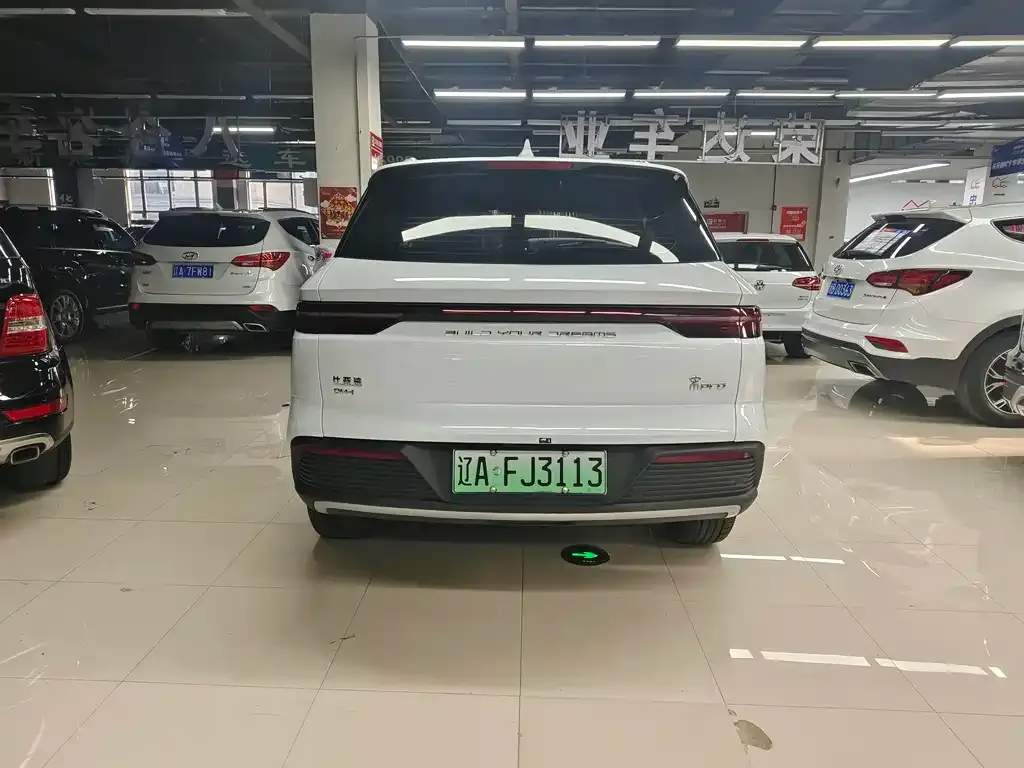 BYD Pro New Energy — фото 2