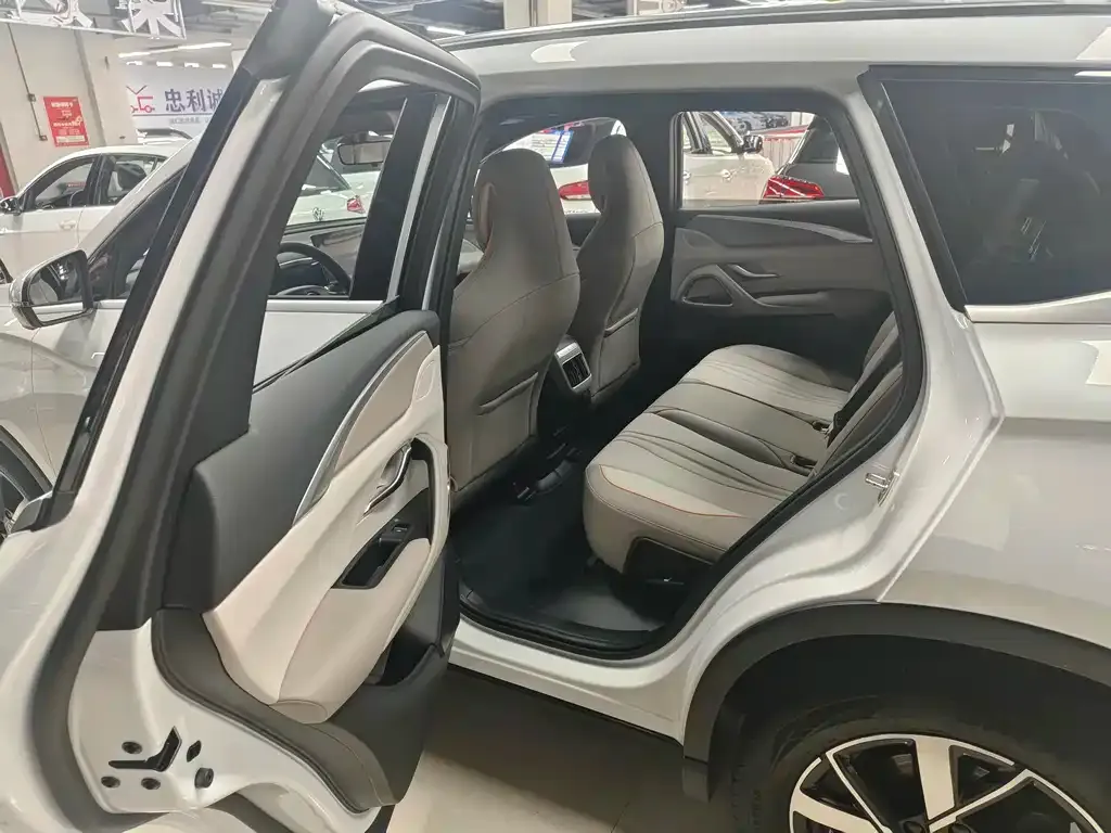 BYD Pro New Energy — фото 8