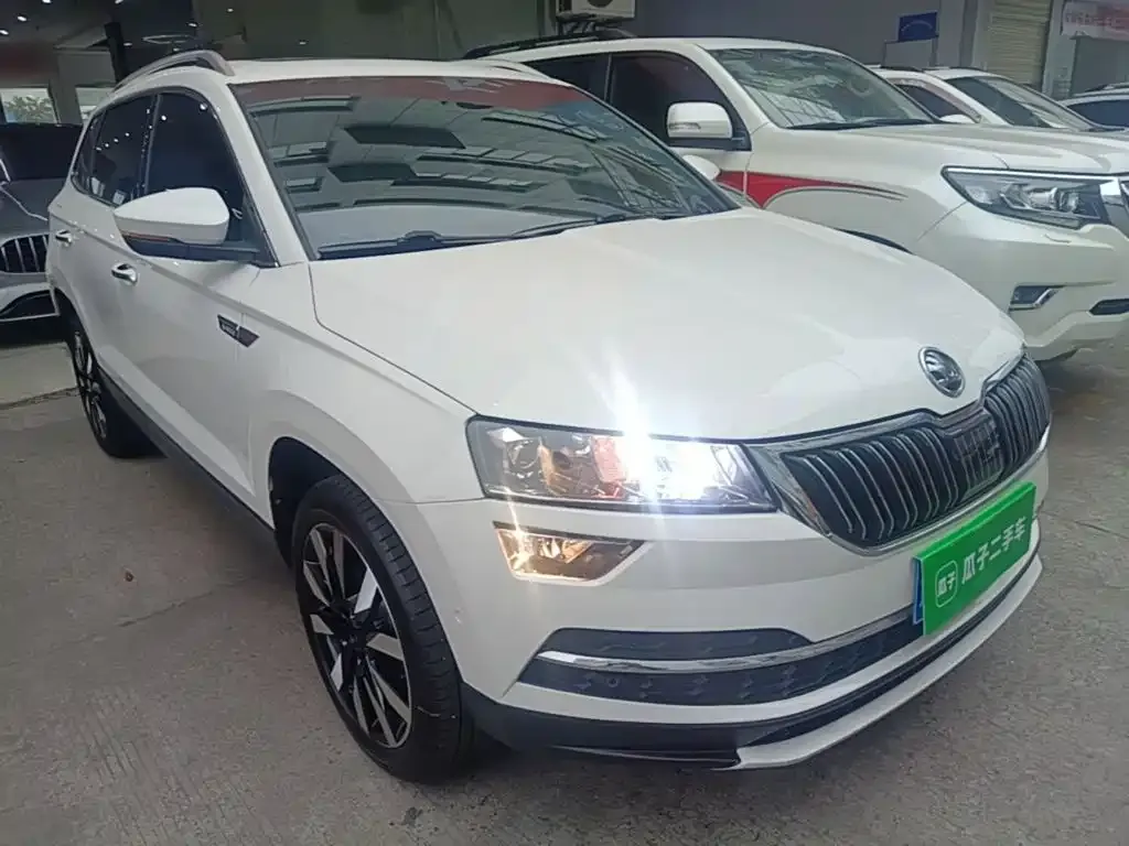 Skoda Karoq — фото 9