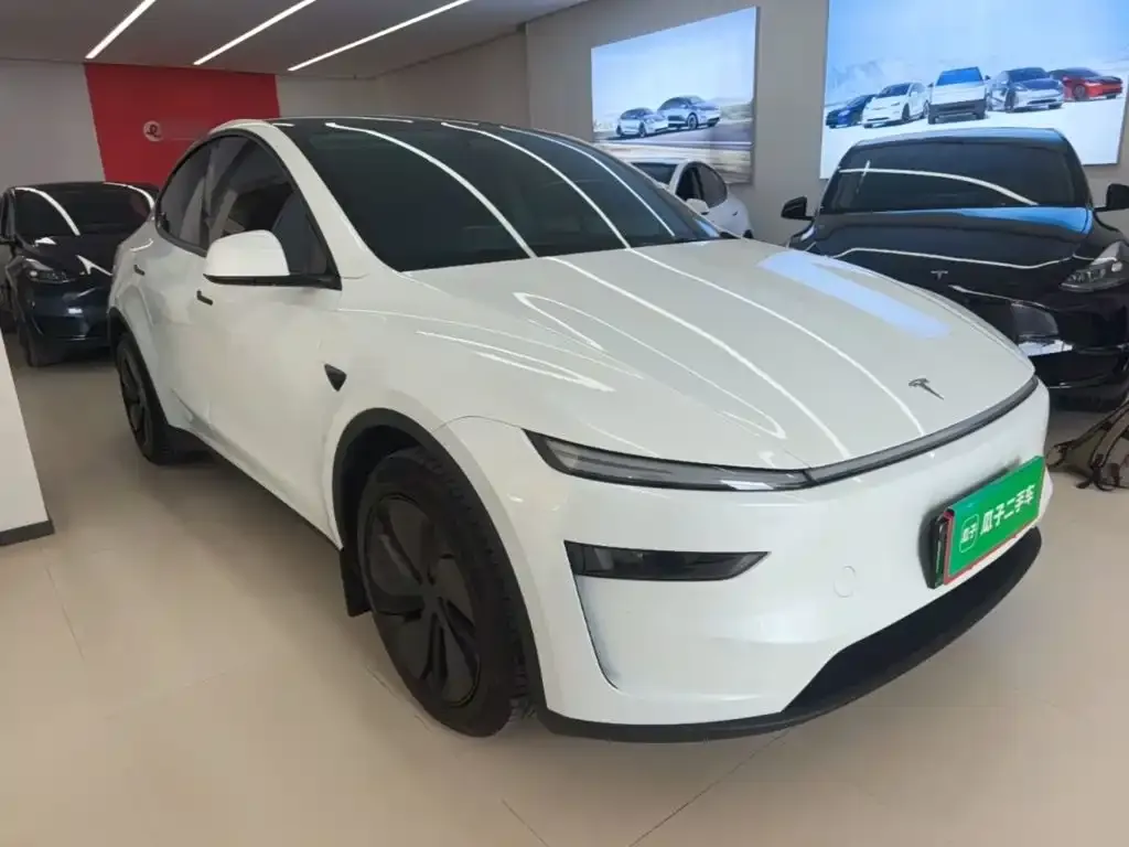 Tesla Model Y — фото 6