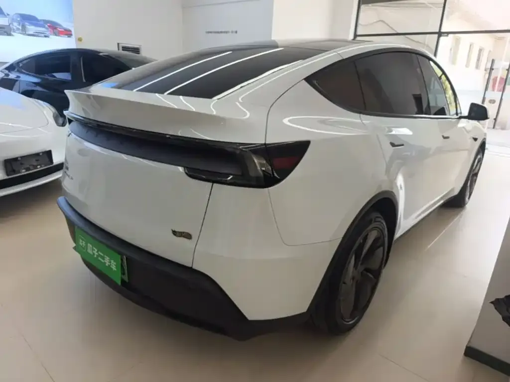Tesla Model Y — фото 2