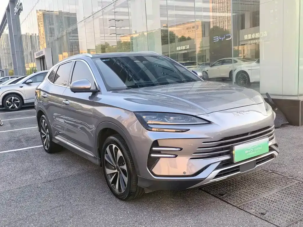 BYD PLUS New Energy — фото 6