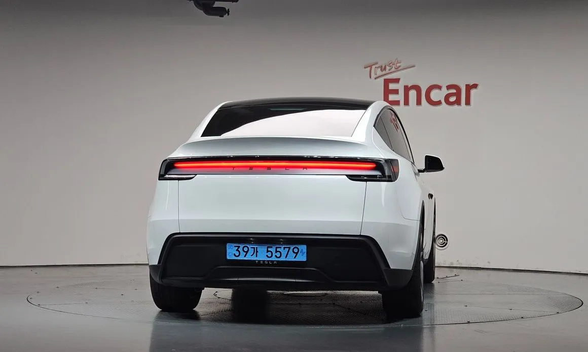 Tesla Model Y — фото 10
