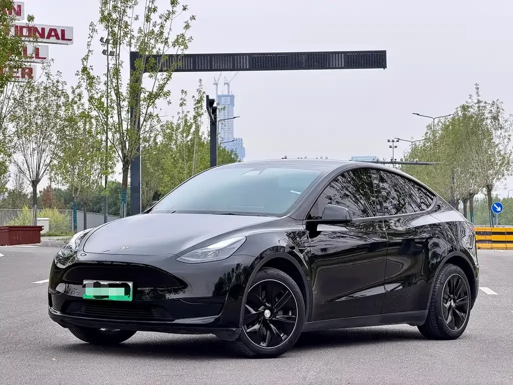 Tesla Model Y — фото 1
