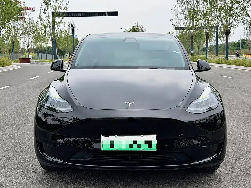 Tesla Model Y — фото 6