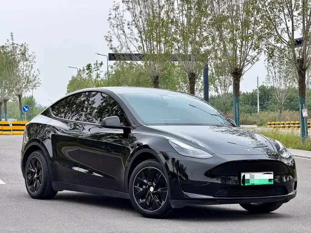 Tesla Model Y — фото 9