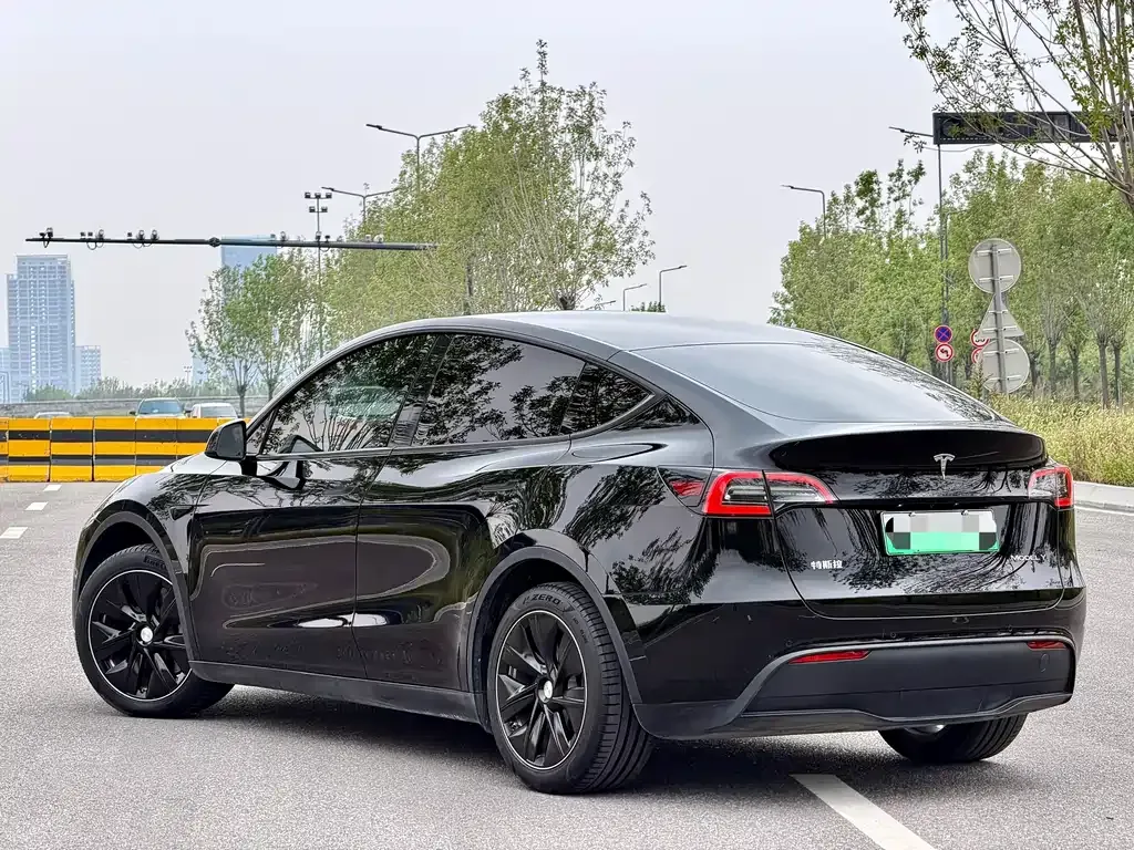 Tesla Model Y — фото 10