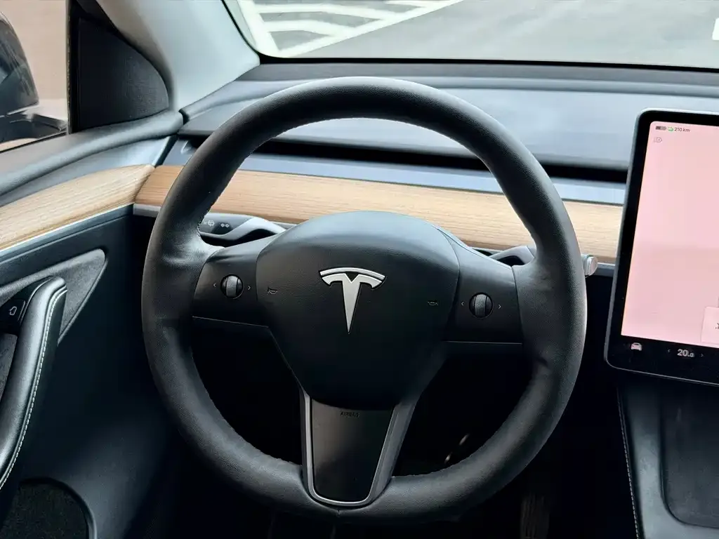 Tesla Model Y — фото 2