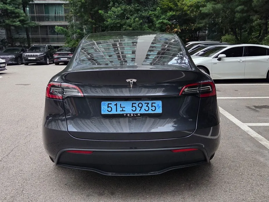 Tesla Model Y — фото 6