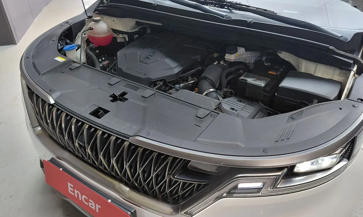 Kia Carnival — фото 10