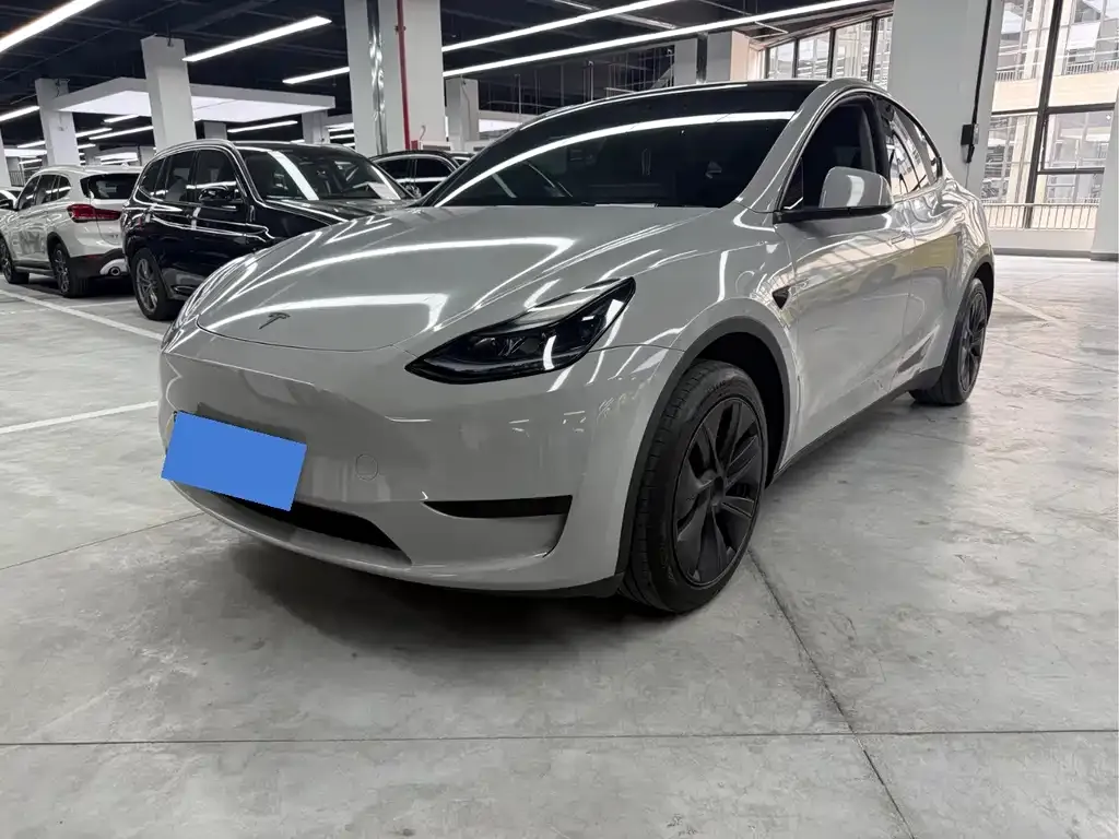 Tesla Model Y — фото 1