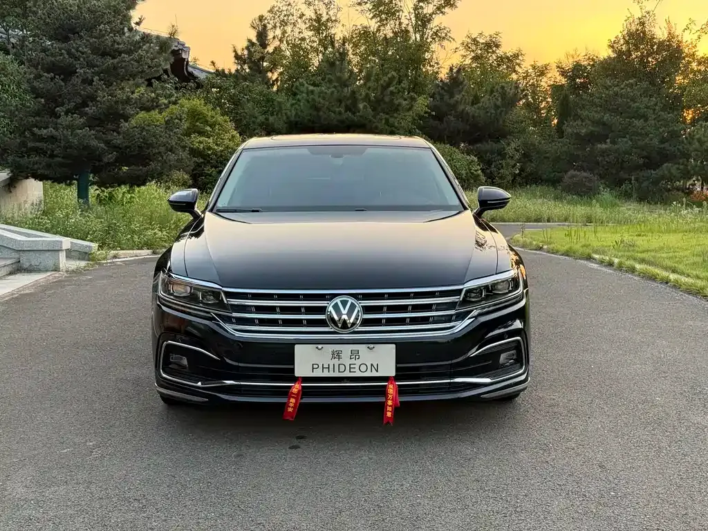 Volkswagen Phideon — фото 8