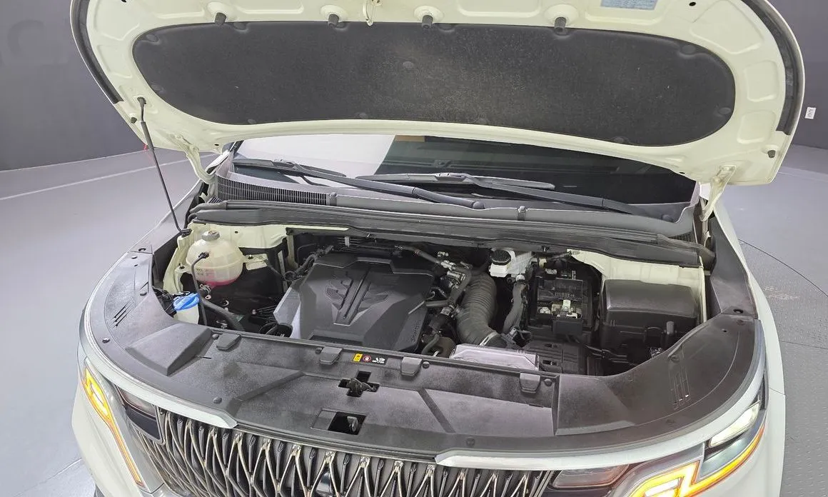 Kia Carnival — фото 10