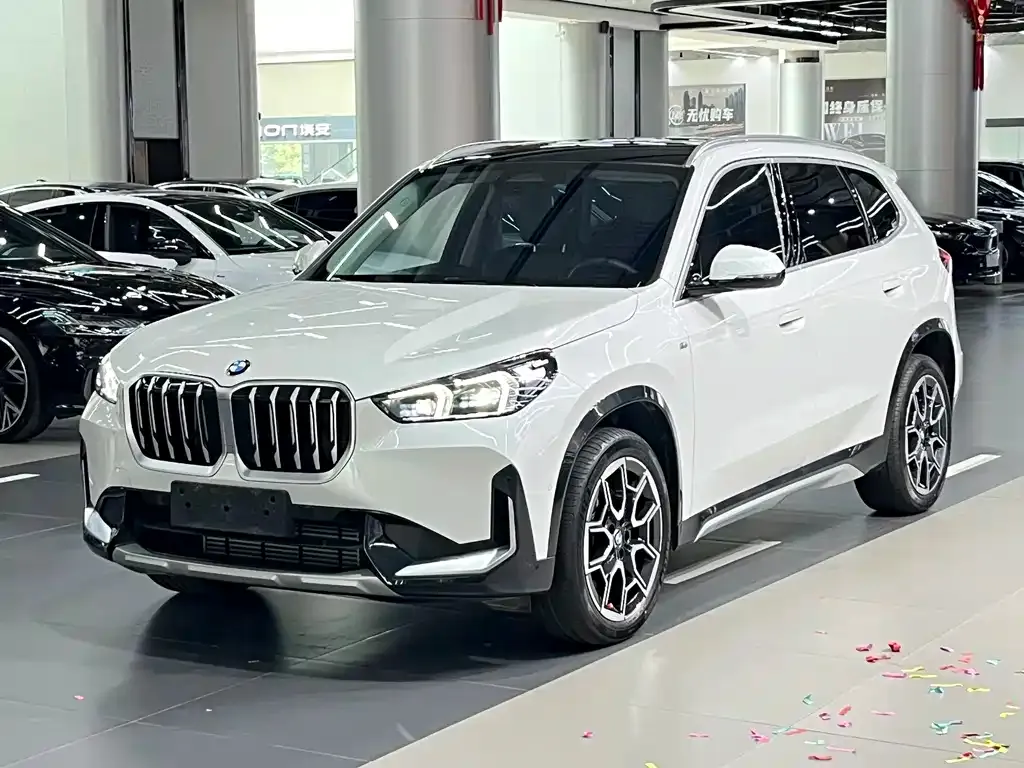 BMW X1 — фото 1