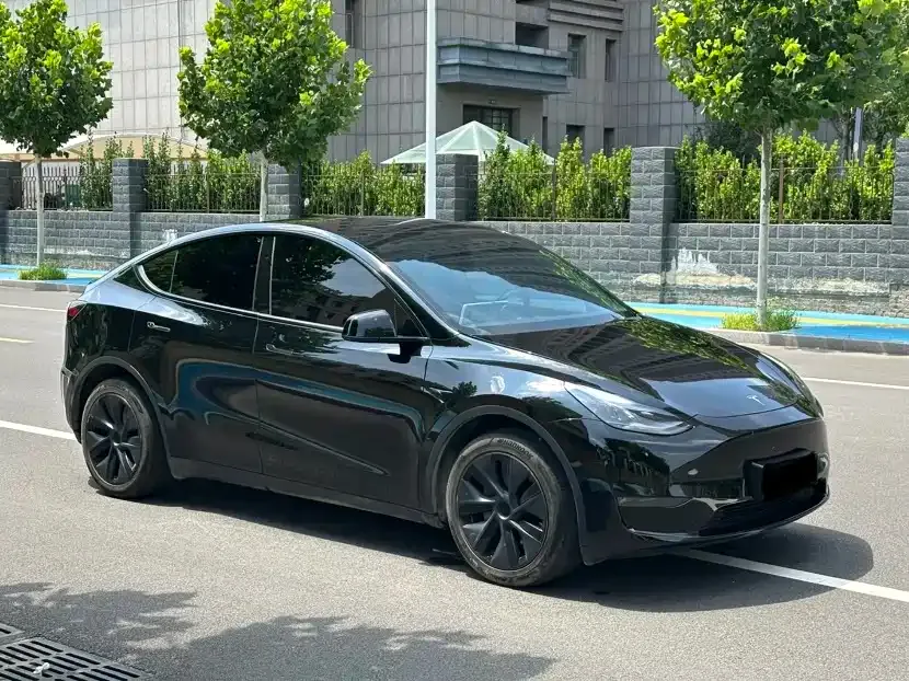 Tesla Model Y — фото 9