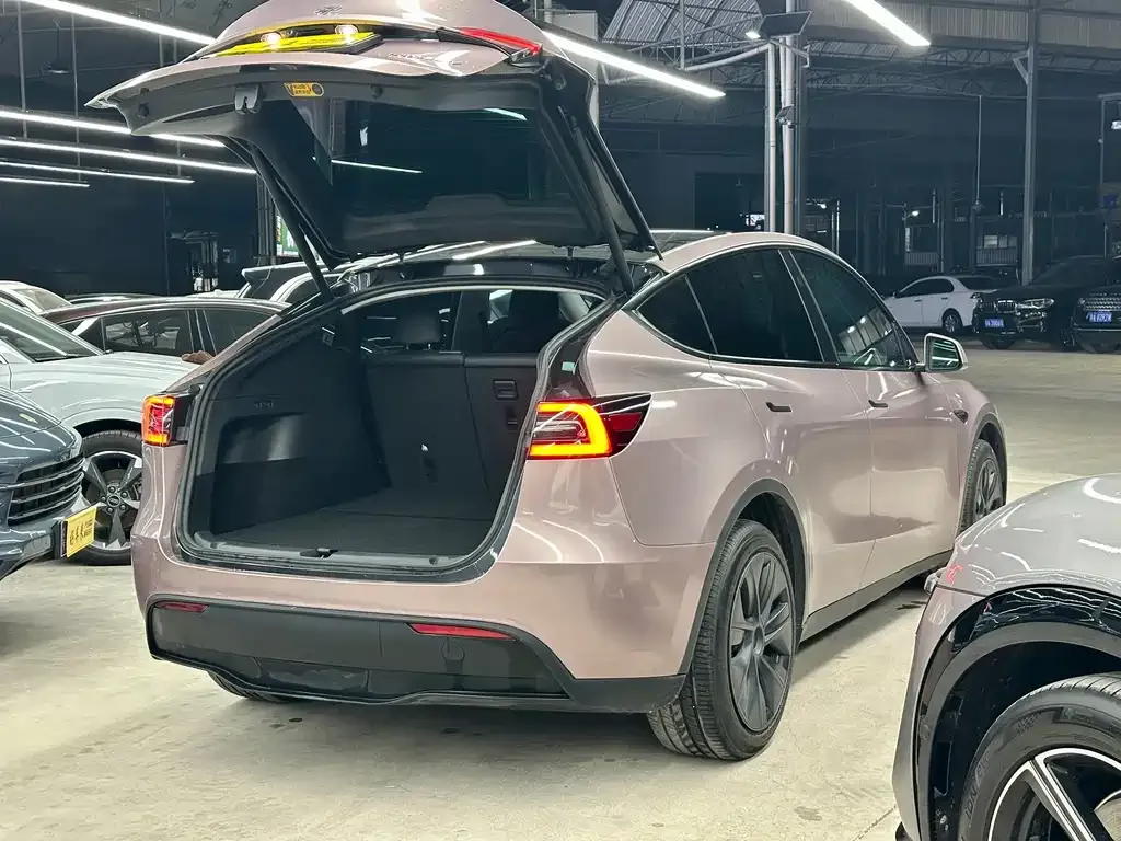 Tesla Model Y — фото 5