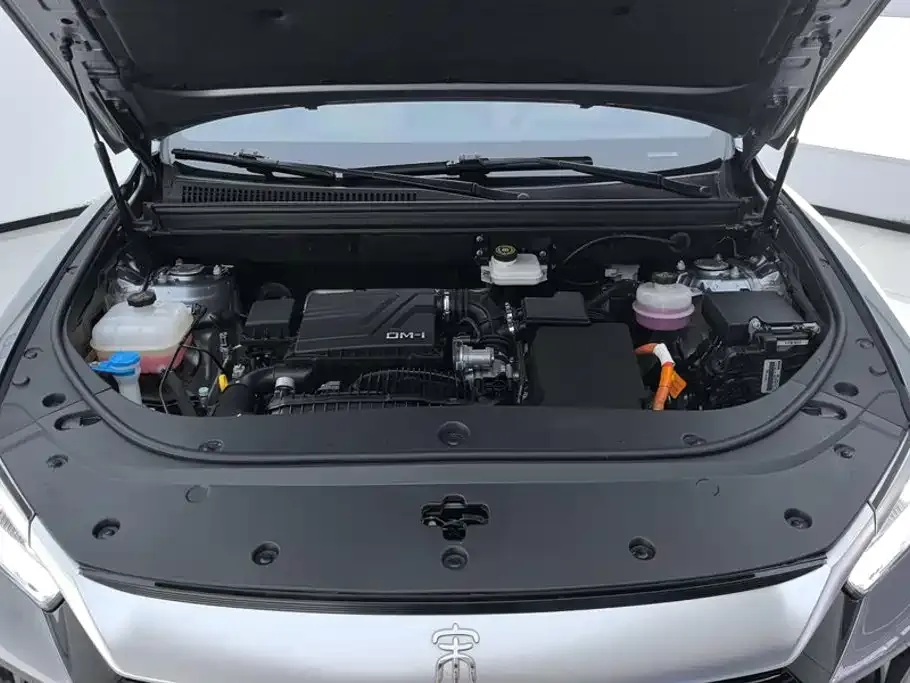 BYD Pro New Energy — фото 5