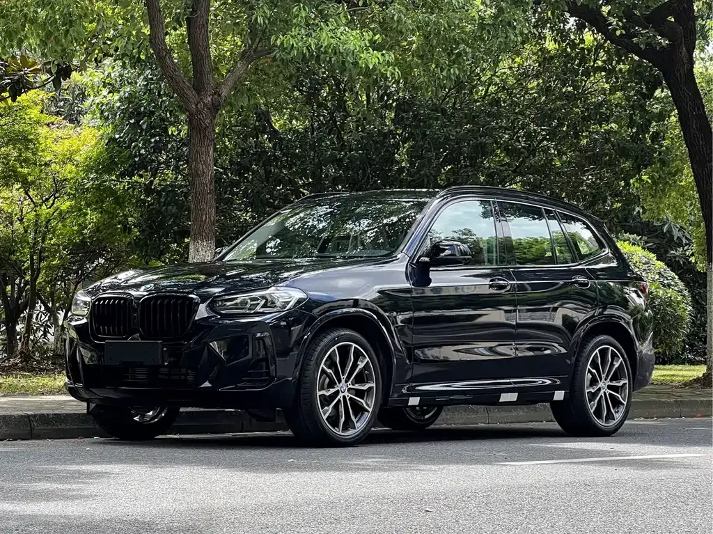 BMW X3 — фото 1