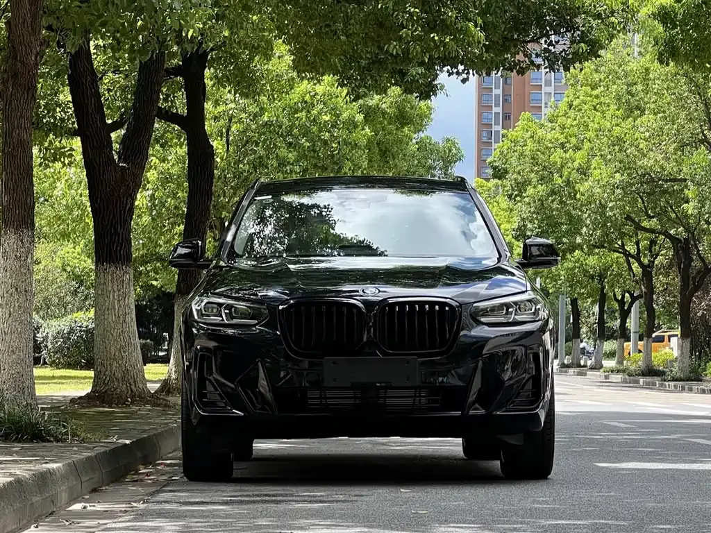 BMW X3 — фото 9