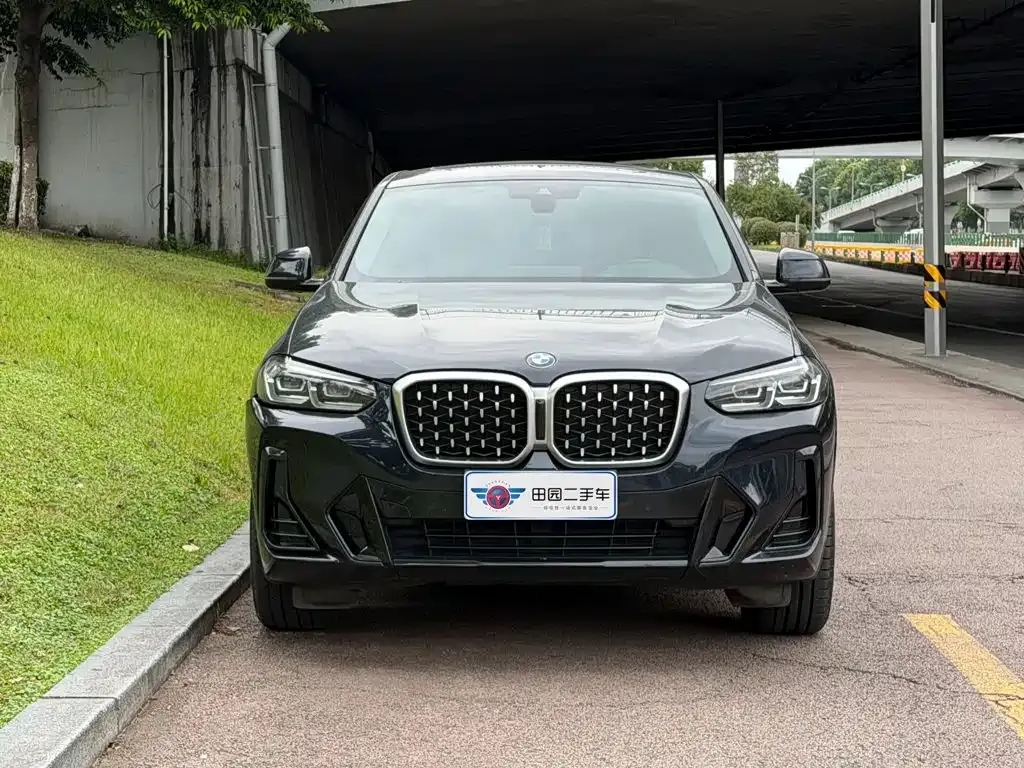 BMW X4 — фото 9