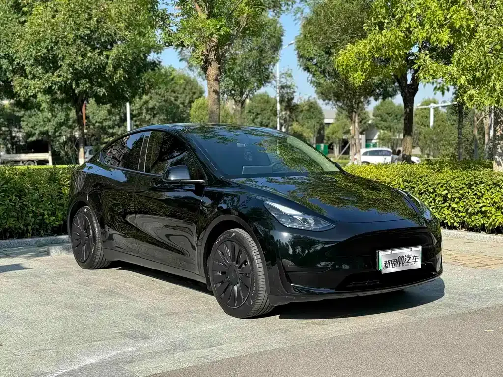 Tesla Model Y — фото 6