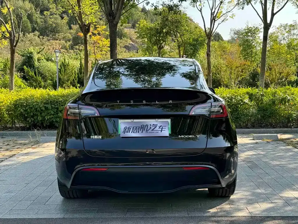 Tesla Model Y — фото 5