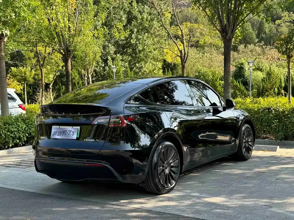 Tesla Model Y — фото 9
