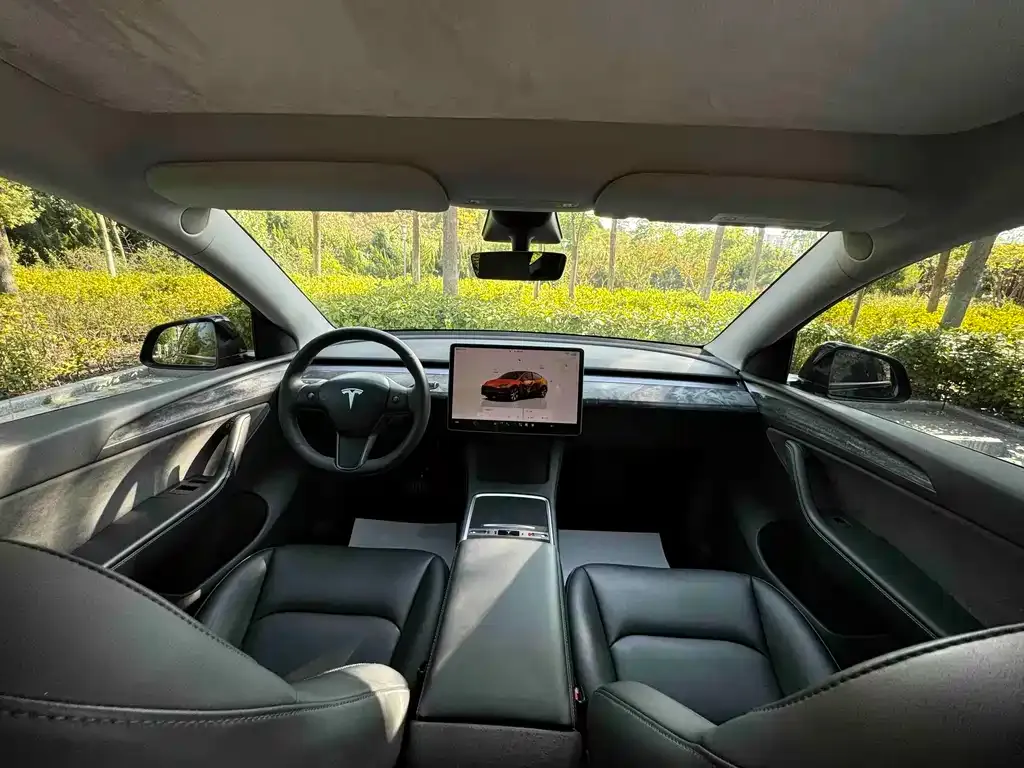 Tesla Model Y — фото 4