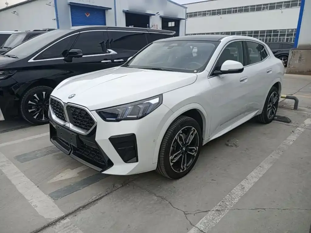 BMW X2 (Import) — фото 1