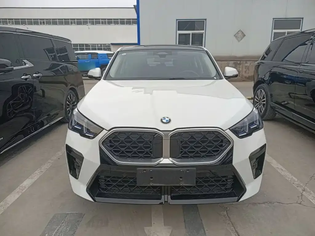 BMW X2 (Import) — фото 6