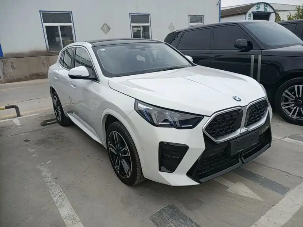 BMW X2 (Import) — фото 10
