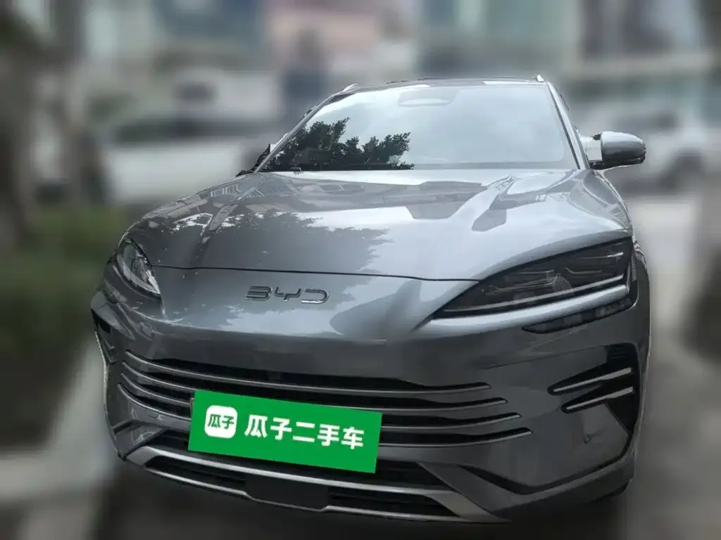 BYD PLUS New Energy — фото 4