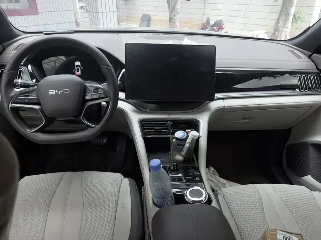 BYD PLUS New Energy — фото 10