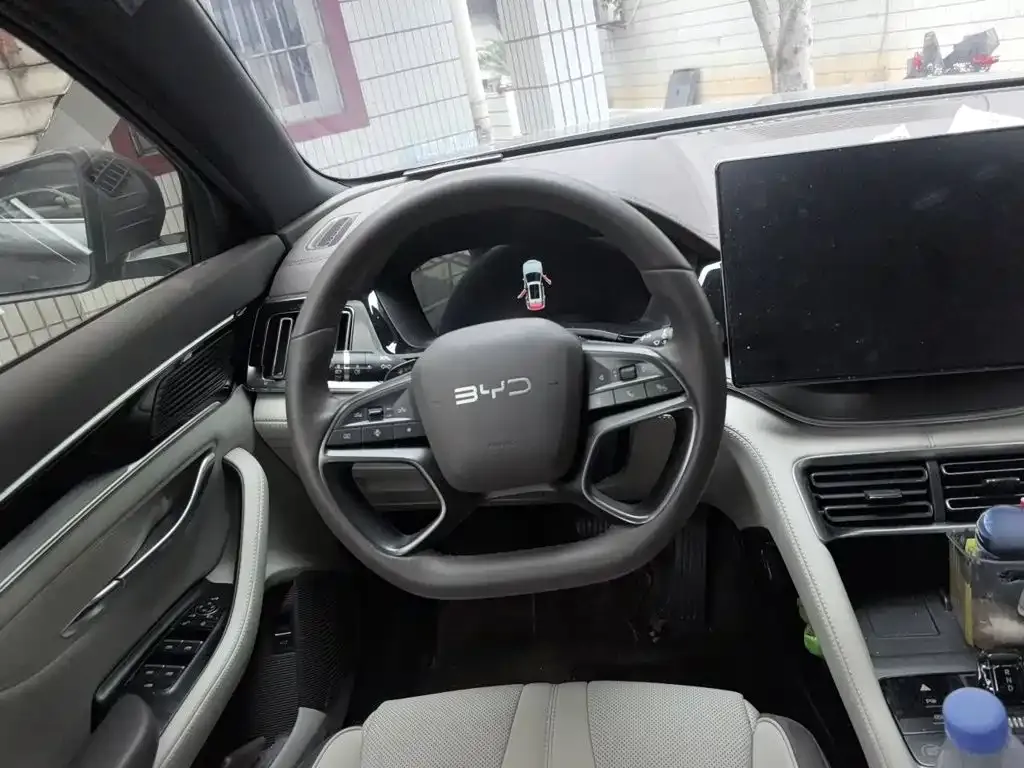 BYD PLUS New Energy — фото 8