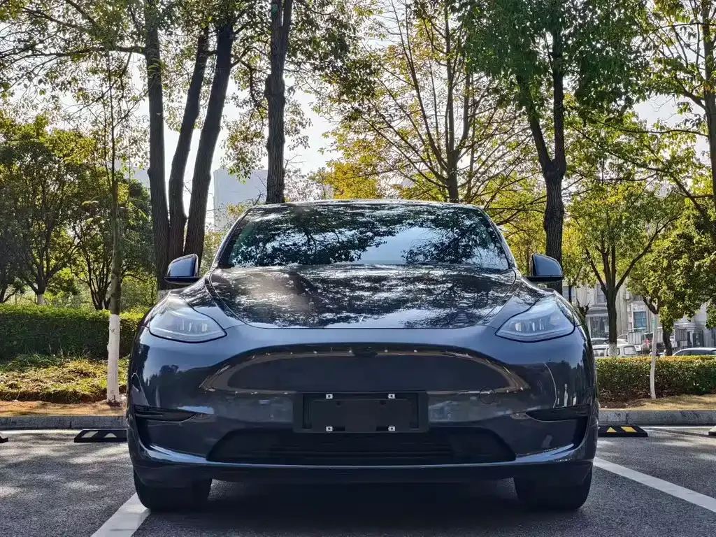Tesla Model Y — фото 9