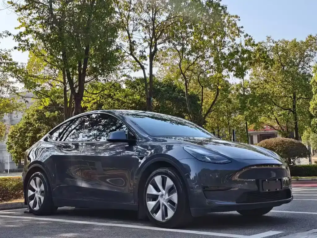 Tesla Model Y — фото 7